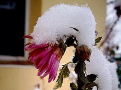 Экстренное предупреждение из-за снегопада объявлено в Краснодарском крае