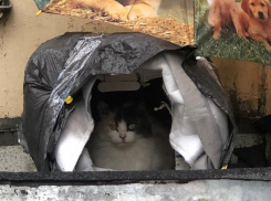 В Краснодарском крае испортится погода на один день