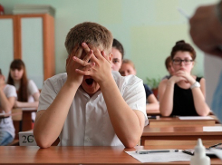 На Кубани 16,5 тыс. школьников сдают ЕГЭ по обществознанию 