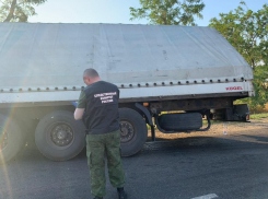 В Тимашевском районе Краснодарского края 29 июля в результате ДТП погибли 5 человек, трое из которых дети