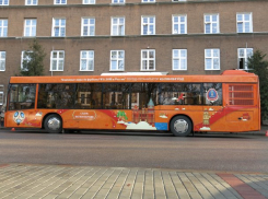  Во время Кубка конфедераций и чемпионата мира по футболу въезд в Сочи будет свободным 