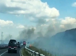 Более тысячи квадратных метров травы сгорело в Анапе
