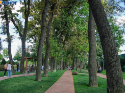 Облачность и прохладу прогнозируют в Краснодаре