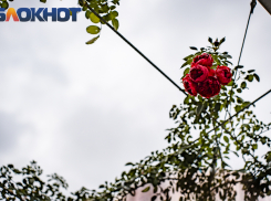 Последняя суббота осени не порадует теплом в Краснодаре 