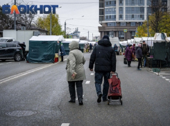 На весеннюю ярмарку в Краснодаре привезут мидий и улиток