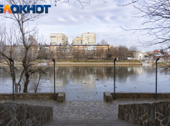 Главное в Краснодаре: Японский сад не открыли, Бастрыкин заинтересовался дачами, Симоньян – отпусками в ВСУ, нейросеть показала Кубань, а девочка выпала из окна 