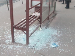 В Краснодаре полиция задержала мужчину, разгромившего остановку