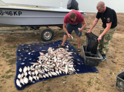 Супругов-браконьеров задержали под Краснодаром 