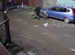 В Краснодаре очередной живодер попал на видео