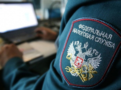 Почти 29 миллионов рублей задолжал налоговикам бизнесмен из Сочи