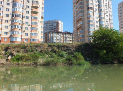 Ничего, кроме матерных слов, не заслуживает проект администрации Краснодара