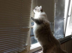 Сухая и по-осеннему теплая погода ожидается в Краснодаре 9 ноября