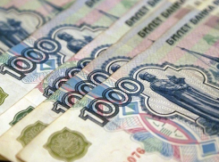 Как потратить 2,5 миллиарда или топ-5 самых дорогих закупок в Краснодарском крае за неделю