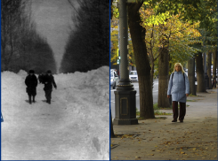 День первых признаков зимы: какой она была в Краснодаре