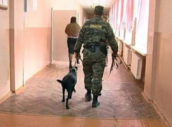  Молодой человек заминировал школу в Краснодаре 