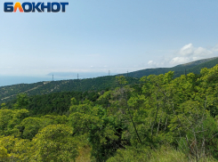 В Краснодарском крае во время турпохода педагог надругался над ребенком