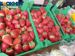 От Греции до Адыгеи: сколько стоит клубника на прилавках в Краснодаре