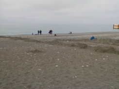  В Сочи спилили забор, который перекрывал выход на пляж 