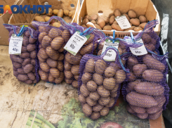 Рост цен на картофель и лук зафиксировали в Краснодарском крае