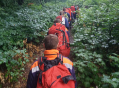 В горах Сочи упал со смотровой площадки турист