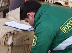 Замглавы Россельхознадзора Кубани ответил перед законом за внезапные проверки