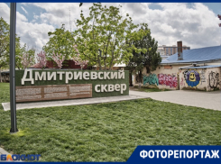 В Краснодаре вандалы изуродовали Дмитриевский сквер: фоторепортаж