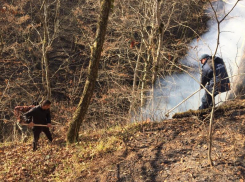 В Краснодарском крае уже неделю горят леса 