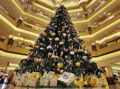 На Кубани задержали вора, укравшего елочные украшения из пустующего дома