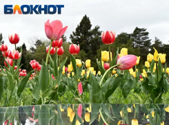 В Краснодаре солнце наконец покажется из-за облаков 