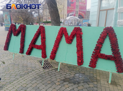 Мастер-класс и праздничные концерты: как краснодарцы отпразднуют День матери 