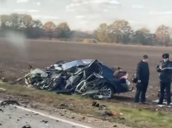 На Кубани в лобовом столкновении грузовика и легковушки погиб 46-летний мужчина