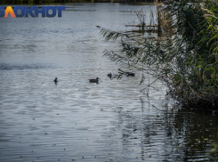 Небольшой дождь придет с потеплением в Краснодар