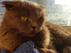 До -5 градусов опустится температура воздуха в Краснодарском крае