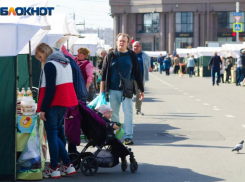 Многодетные семьи Кубани в мае получат краевые выплаты