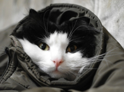 На Кубани на выходных ожидается холодная погода и туман 