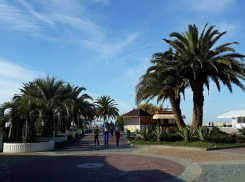 На курорты Краснодарского края запретят въезжать на бензиновых автомобилях