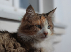 Дожди вернутся на Кубань, но не сегодня