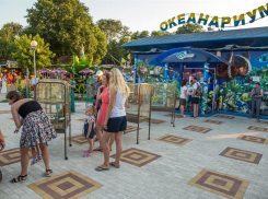 Акула погибла по вине посетителя океанариума в Анапе 