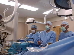 Хирурги Краснодара провели более 600 пересадок органов