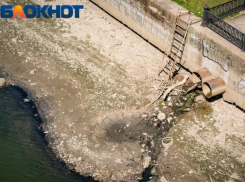 «Сменились поколения чиновников»: кого могут посадить за загрязнение реки Кубань в Краснодаре