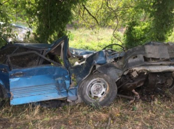  После столкновения с деревом в Красноармейском районе погиб водитель 