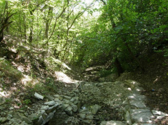 В кубанском лесу пропали трое подростков 