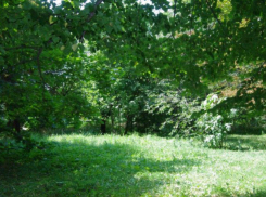 В Краснодаре разрешили строительство в зеленых зонах и поясах города