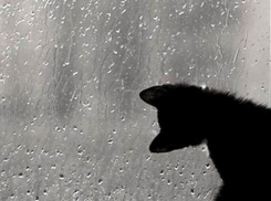 Какая погода будет в Краснодарском крае