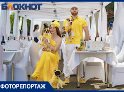 Собаки в платьях и сумка на голове: показываем необычные образы модниц Краснодарского ипподрома