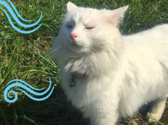 Ветрено и по-осеннему тепло будет в четверг в Краснодарском крае