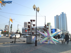 Теплый ноябрь продолжает удивлять жителей Краснодара