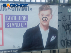 В Краснодаре Павлу Волю ждут в свином виде