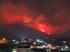 Соцсети: найден виновный пожара в Геленджике, уничтоживший 5 га леса