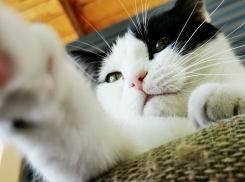 В Краснодаре ожидается ясное небо